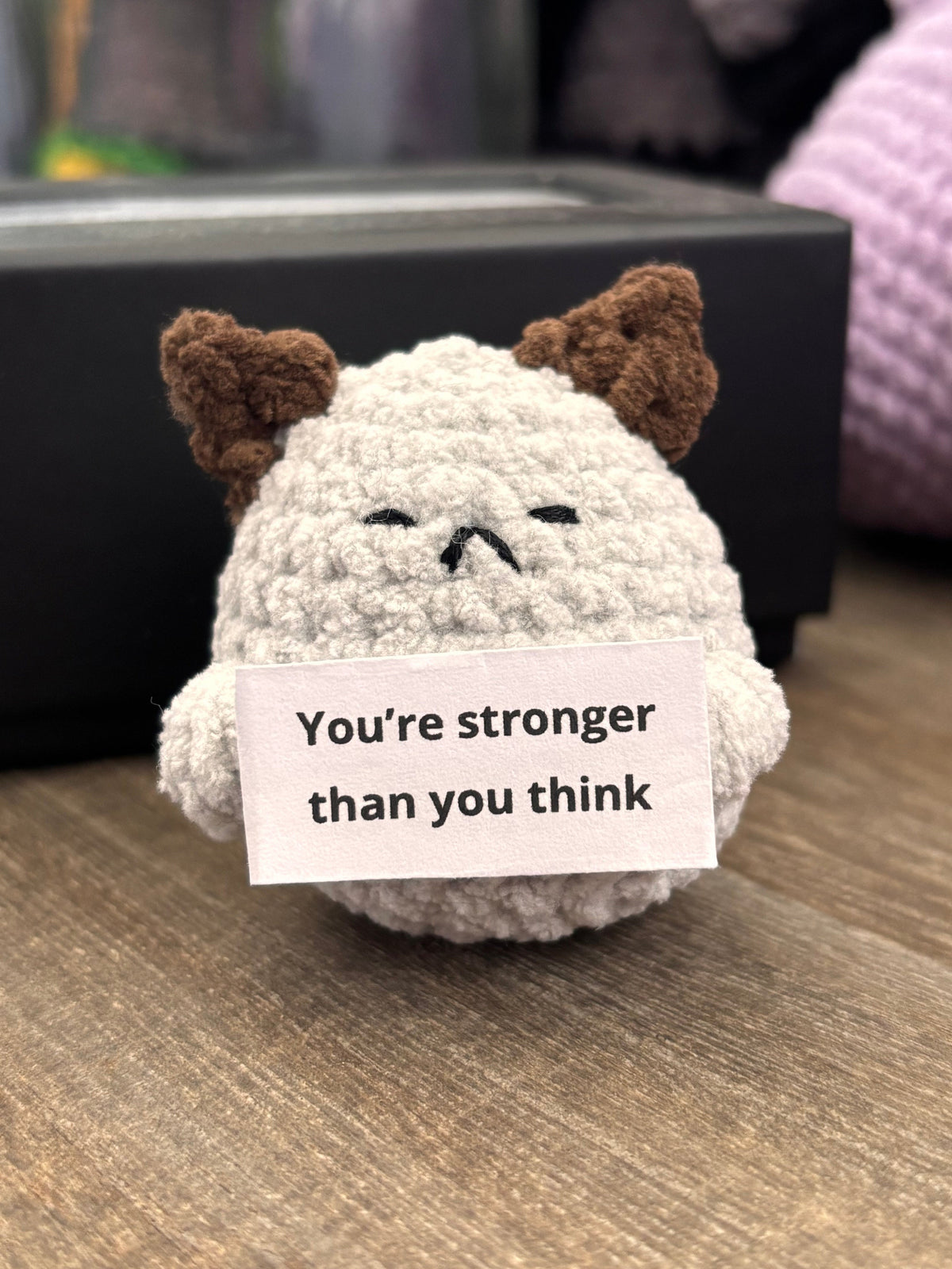 Positive Cat - Mini Affirmation Plushie